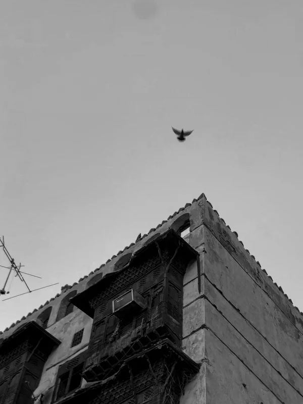 Architecture